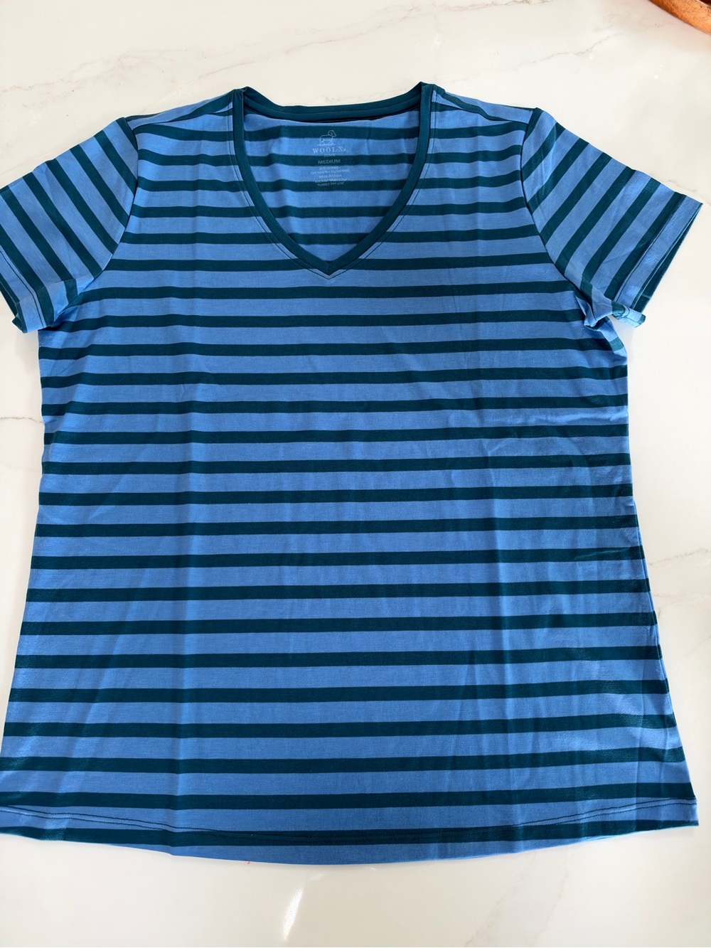 NWT Woolx Striped Merino Wool V-Neck Short Sleeve Top - Blue